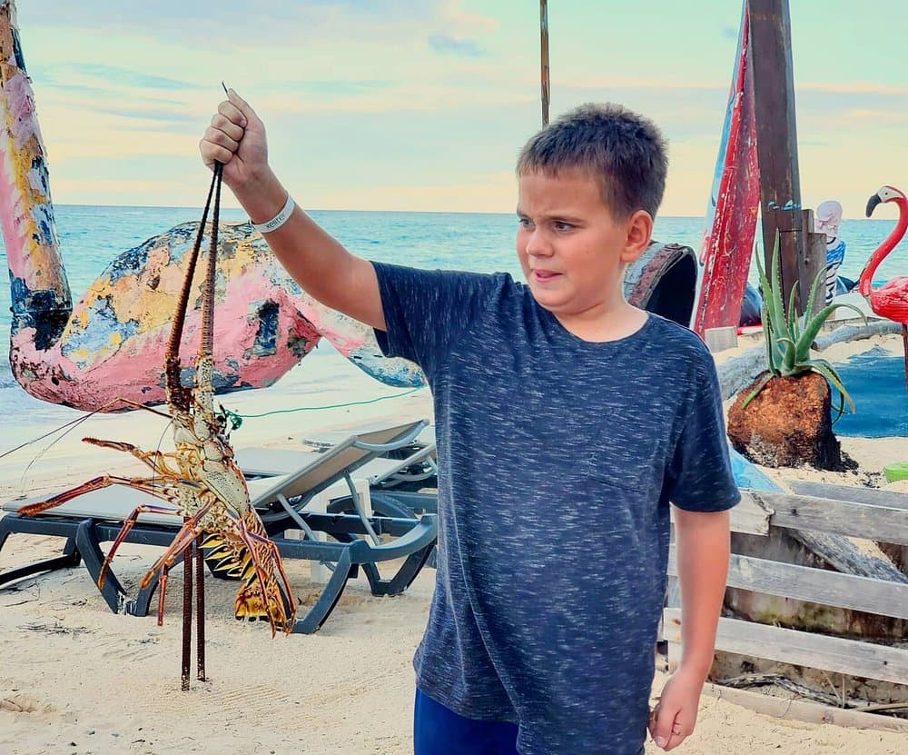 Foto 15 - Tu Restaurante