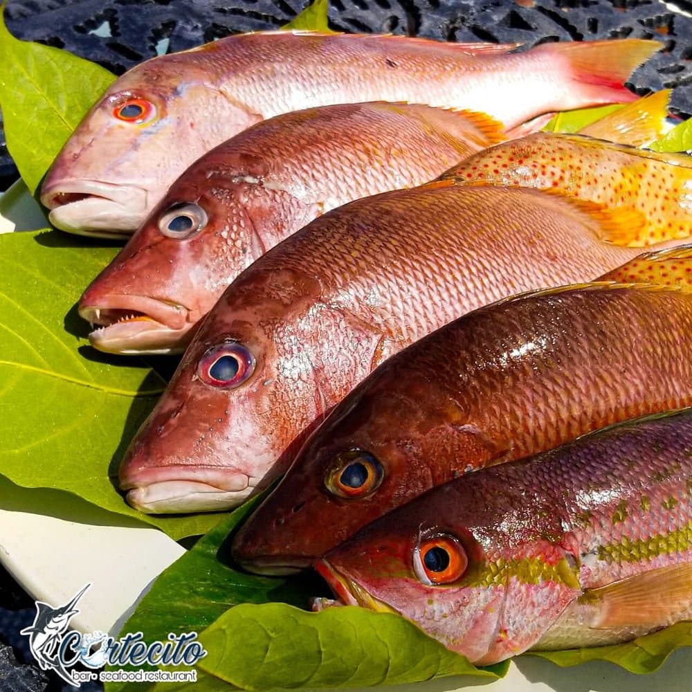 Foto 8 - Tu Restaurante