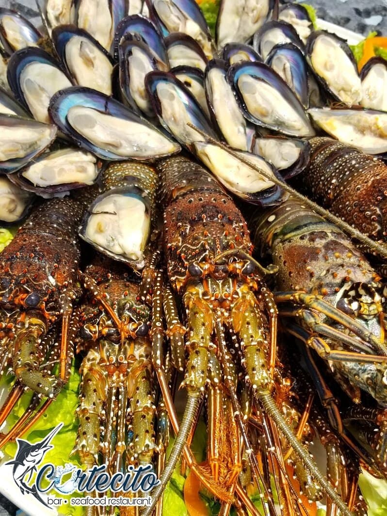 Foto 9 - Tu Restaurante